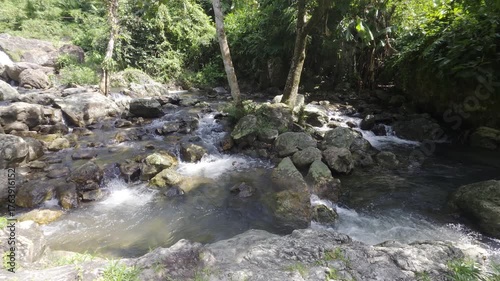 Tranquil River Flowing Through Lush Green Forest With Scenic Rocks and Natural Beauty