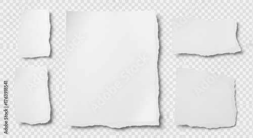 Collection of torn paper pieces on a transparent background for design use