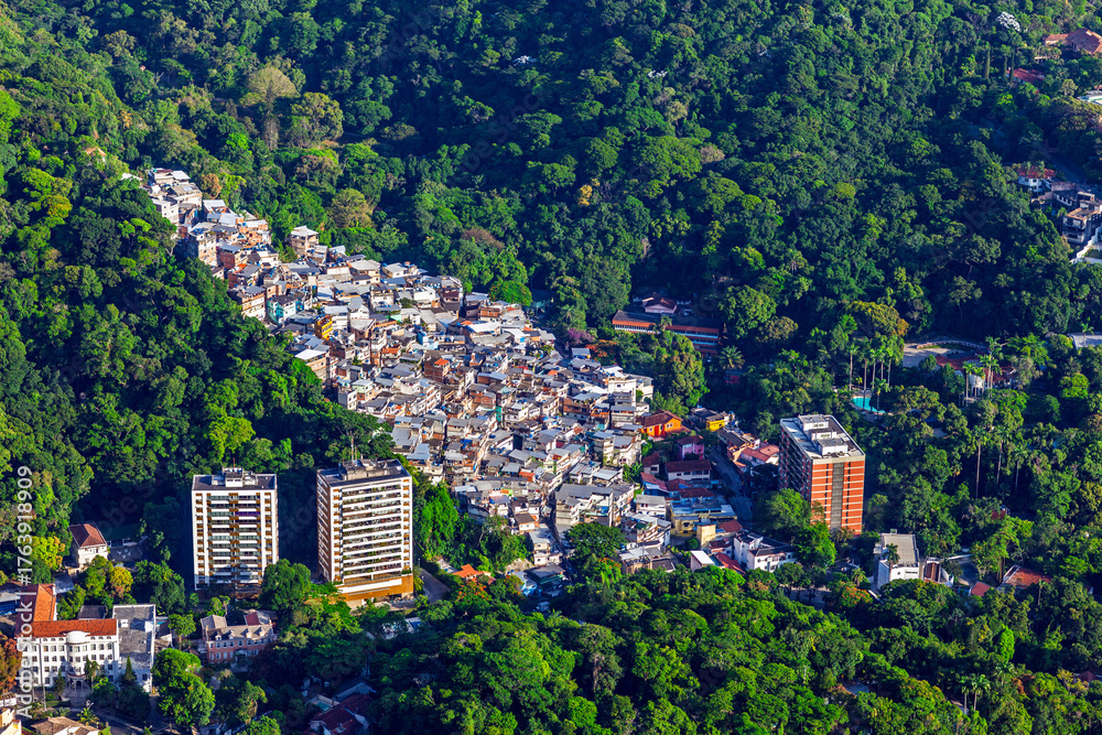 Fototapeta premium Favela, City Park, Tijuca Forest, Rio de Janeiro,