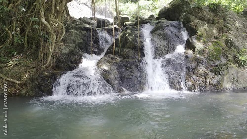 Serene Waterfall Cascading Over Rocky Surface in Lush Green Forest Setting