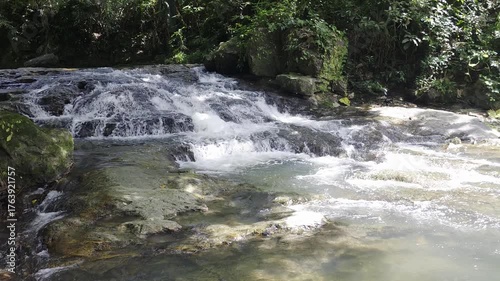 Serene Waterfall Surrounded by Lush Greenery in a Tropical Forest Setting
