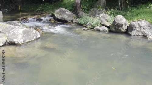 Tranquil Stream Flowing Over Rocks Surrounded by Lush Greenery in a Peaceful Natural Landscape