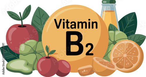 Vitamin b2 riboflavin food sources benefits and deficiency symptoms health information