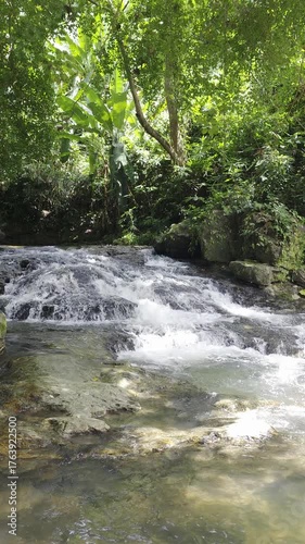 Tranquil Natural Stream Flowing Through Lush Green Forest and Rocks in Bright Daylight