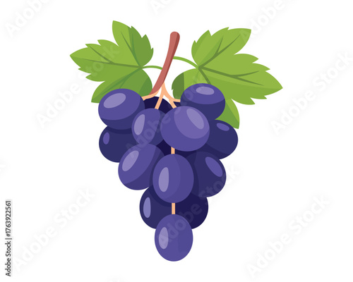 A bunch of ripe purple grapes with green leaves