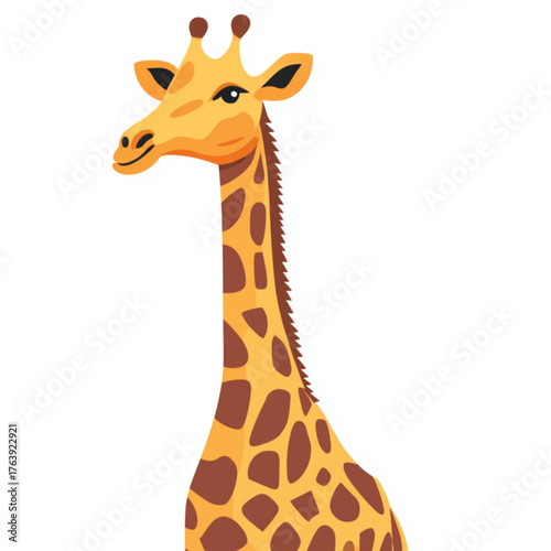 giraffe on white background