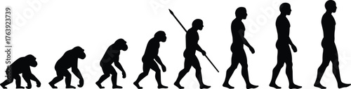 Human evolution silhouette from primate to modern man, walking stages, flat vector, isolated, cad drawing