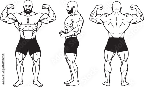 vector illustration of a Heavy Weight Body Builder