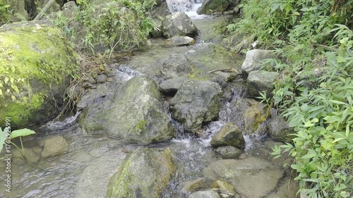 Serene Stream Flowing Through Lush Green Forest With Rocks and Vegetation in Nature