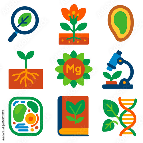 Botany and Science Icons. Flat vector icons of botany and science elements: magnifying glass with leaf, labeled plant part diagram