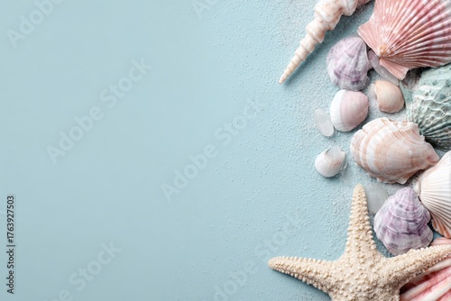Colorful Seashells and Starfish Arranged on a Light Blue Background for a Coa...