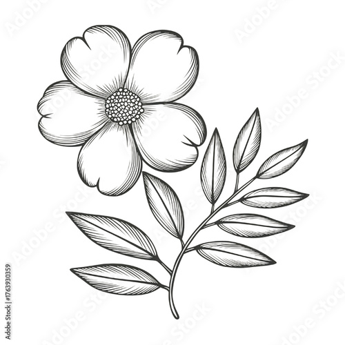 Flower Sketch Vector – Hand Drawn Botanical Line Art Design