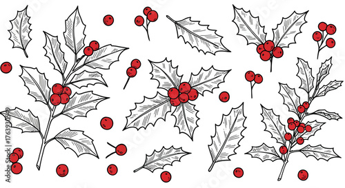 Festive holly and berries inking design with red accents for holiday crafts