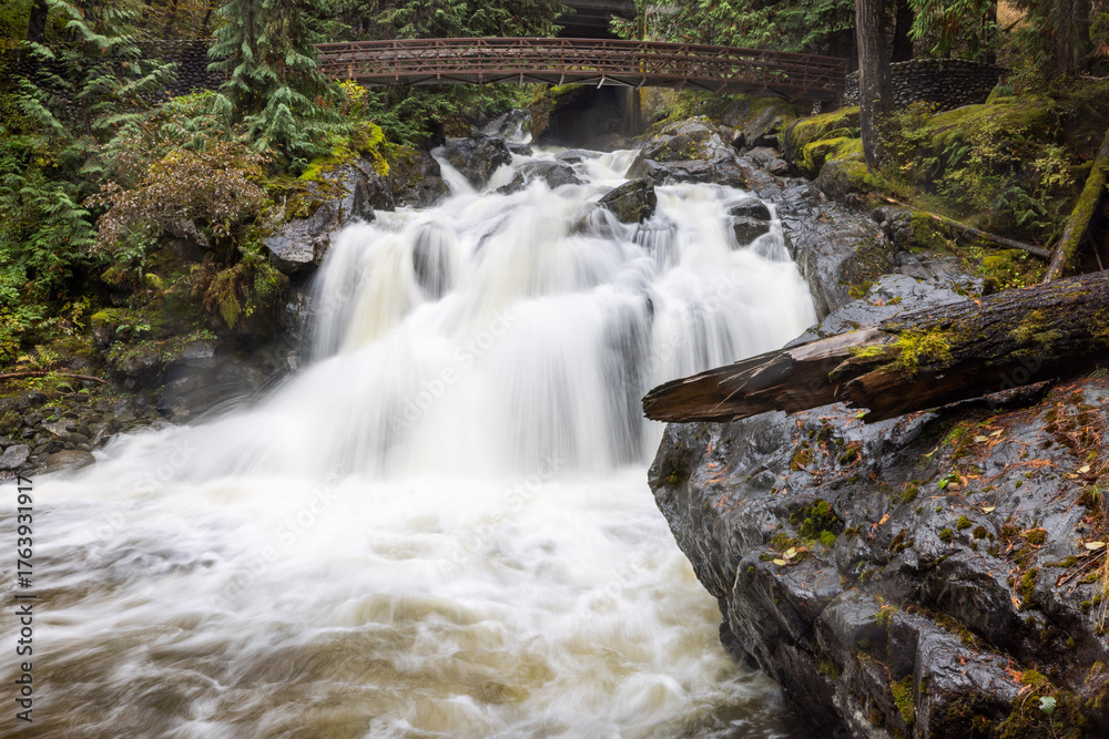 Fototapeta premium Lower Deception Falls Mt. Baker - Snoqualmie National Forest Washington