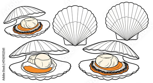 Seafood delight: open clams with pearls in black and white line art