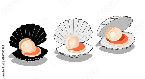 Elegant open shells with pearls in minimalist style on white