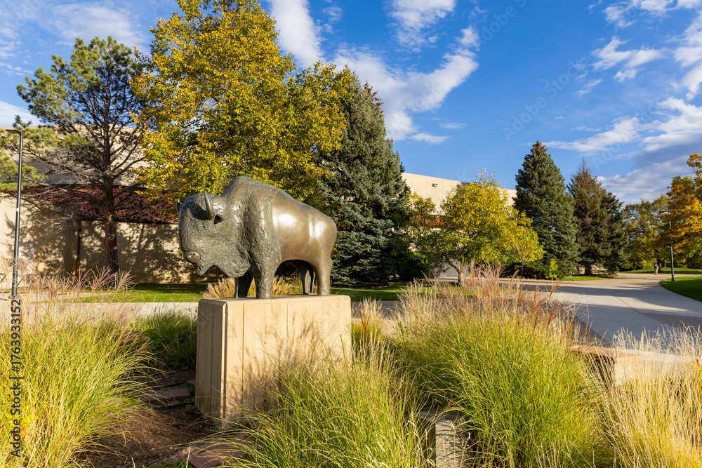 Fototapeta premium Buffalo statue outside the UC Events Center on the University of Colorado Campus