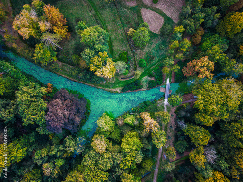 Quadro su tela Aerial view of forested river green stream winds through autumn trees, with small bridge linking dirt paths across grassy clearings, blending seasonal color with ecological texture