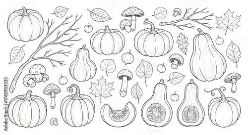 Hand-drawn autumn harvest with pumpkins, mushrooms, and leaves