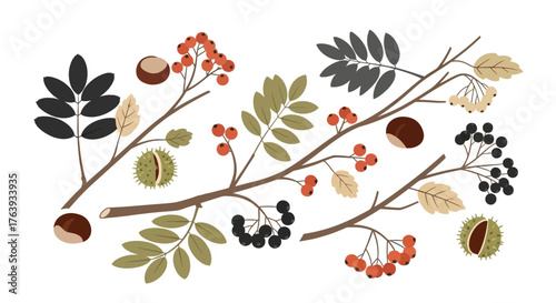 Autumn branches with colorful leaves and berries in a minimalist flat design