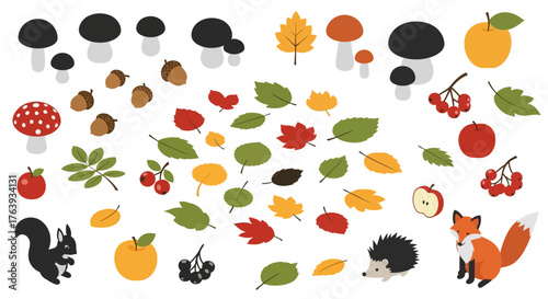 Autumn wildlife and foliage: flat design with mushrooms, leaves, and forest animals