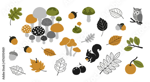 Autumn forest elements: mushrooms, leaves, and woodland animals in flat design