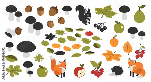 Autumn forest elements with fox, hedgehog, and squirrel in flat style