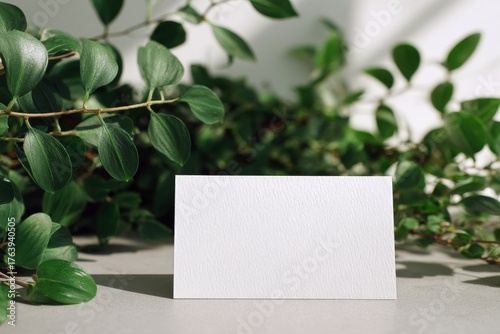 Blank Card Placed on a Wooden Table Surrounded by Green Plants in a Bright Room
