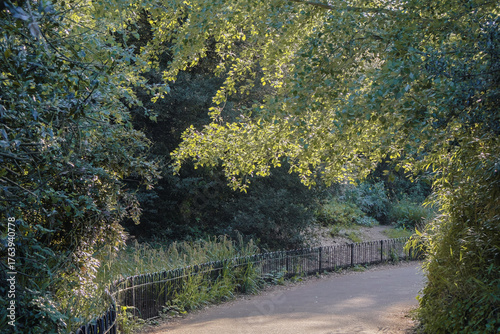 Battersea Park (power station) London, England - Peaceful view of trees on a cloudy day. 