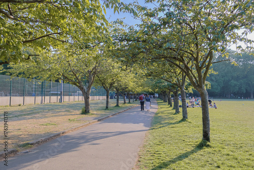 Battersea Park (power station) London, England - Peaceful view of trees on a cloudy day. 