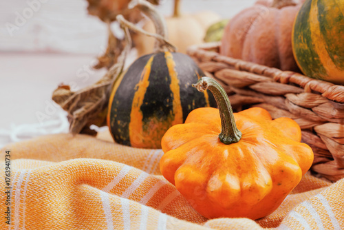 Orange decorative pattypan squash on textured fabric next to colorful pumpkins