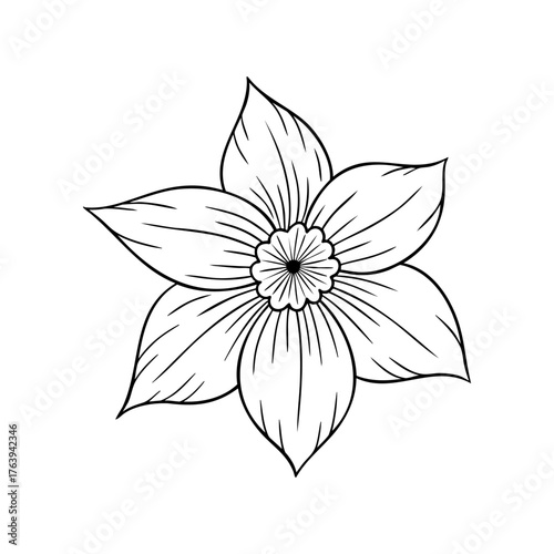 March birth flower daffodil, line art vector, black and white botanical illustration, elegant floral sketch, minimalist outline drawing, hand drawn monochrome flower design, vintage aesthetic