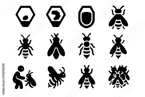 Bee Life Cycle Icons. Solid style icons of Bee Life Cycle: egg in cell, larva stage, capped pupa, emerging bee, worker bee, queen