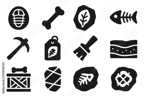 Fossil Discovery Icons. Solid style icons of Fossil Discovery: trilobite fossil, dinosaur bone, leaf impression, fish skeleton,