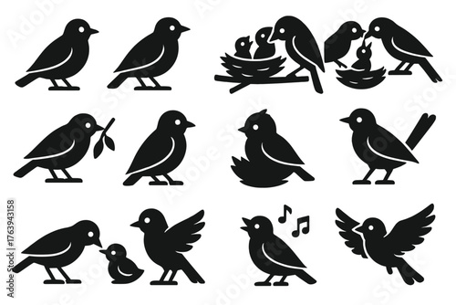 Bird Family Icons. Solid style icons of Bird Families: mother bird, father bird, chicks in nest, feeding chick, bird with twig,