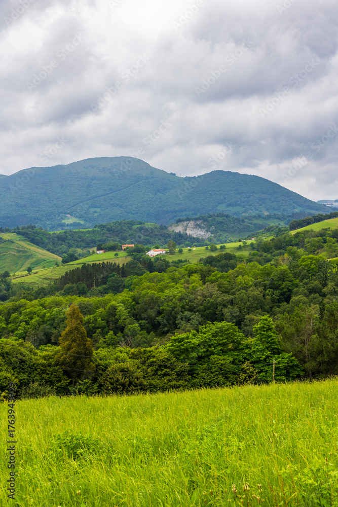Obraz premium Panoramic View of the Verdant Hills Between Deba and Zumaia