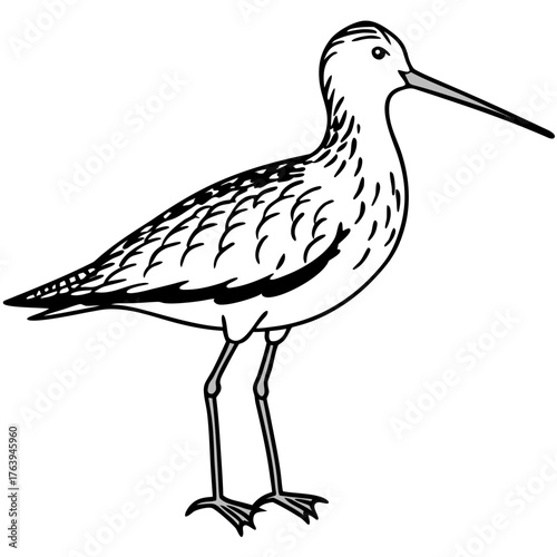 Behang Simple Dunlin Bird Silhouette Vector – Black Outline on White
