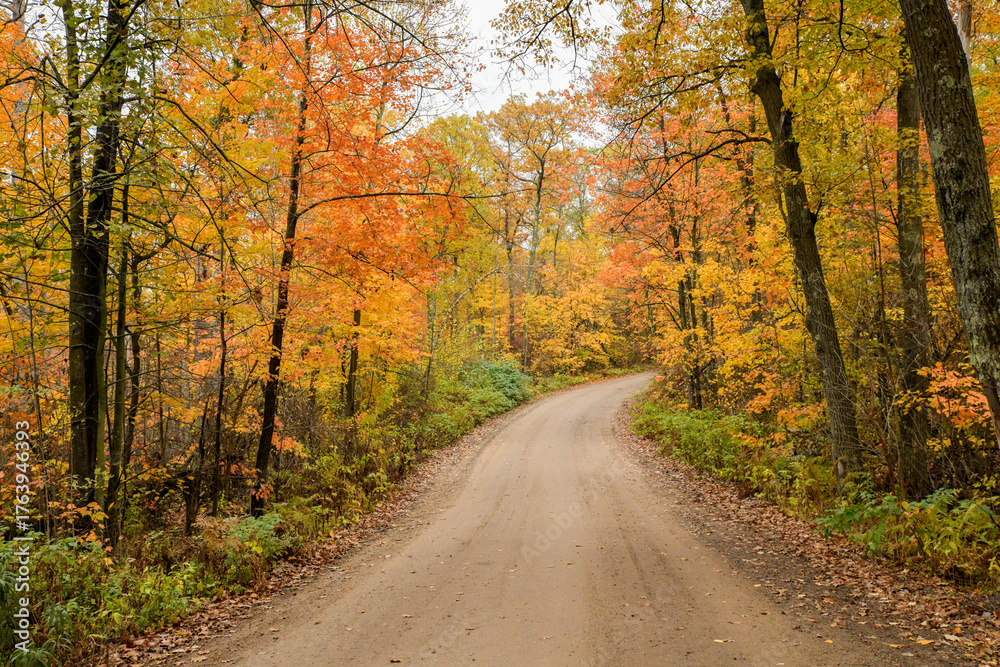 Fototapeta premium Dirt road winding through the autumn color forest