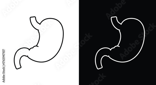 Two contrasting graphic representations of the human stomach outline, one black on white and one white on black, illustrating human anatomy.