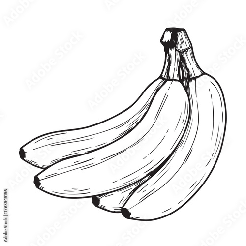 Bunch of bananas isolated on transparent background