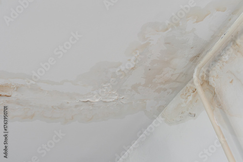 Wallpaper Mural Water stain on white ceiling. Symbol of home maintenance and neglect consequences. Torontodigital.ca