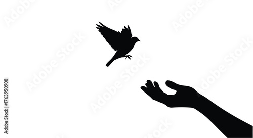 Silhouette of a hand releasing a bird into the bright sky, symbolizing freedom and hope.
