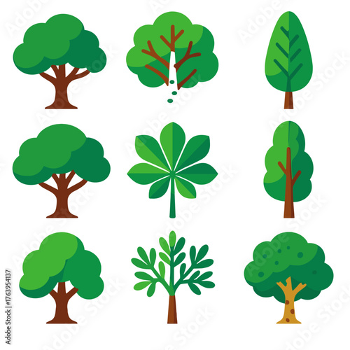 Bright Tree Icons. Flat vector icons of deciduous trees: oak tree with full green crown, maple tree with spreading branches, birch