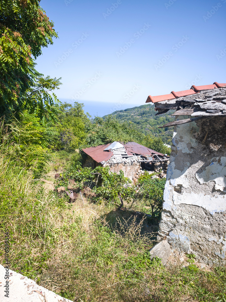 Obraz premium Makrirrachi Village at Pelion Mountain, Thessaly, Greece