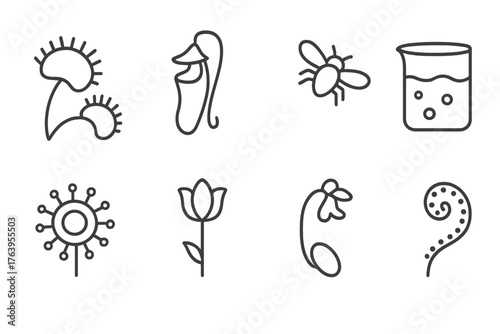 Carnivorous Plant Icons. Line style icons of Carnivorous Plant: Venus Flytrap, Pitcher Plant, Lured Insect, Digestive Fluid,