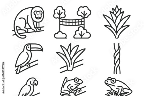 Rainforest Icon Set. Line style icons of Rainforest Canopy: Howler Monkey, Canopy Walkway, Bromeliad, Toucan, Epiphyte, Liana,