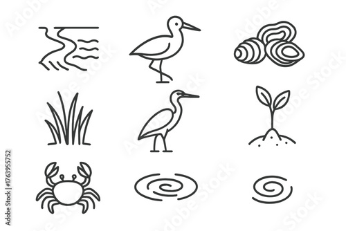 Estuary Line Icons. Line style icons of Estuary: River Mouth, Wading Bird, Oyster Bed, Marsh Grass, Heron, Mangrove Seedling, Crab