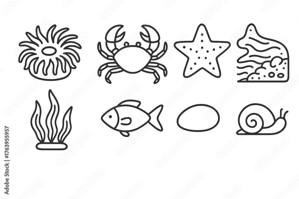 Obraz premium Tide Pool Icons. Line style icons of Tide Pool: Anemone, Crab, Starfish, Retreating Tide, Seaweed, Small Fish, Pebble, Snail, No
