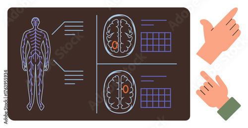 Human nervous system diagram paired with detailed brain scans, annotations, and data graphs. Hands demonstrating gestures. Ideal for healthcare, neurology, education, technology, diagnostics