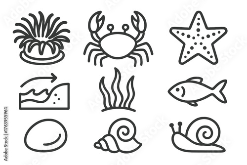 Tide Pool Icons. Line style icons of Tide Pool: Anemone, Crab, Starfish, Retreating Tide, Seaweed, Small Fish, Pebble, Snail, No